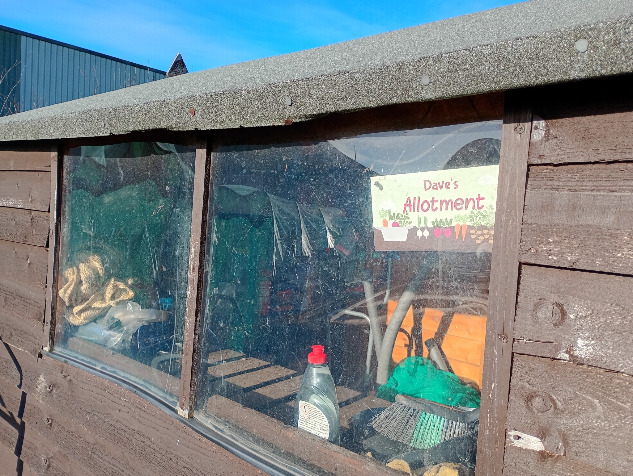 Dave's wooden allotment shed with a sign reading Dave's Allotment